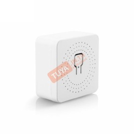 BSW-M01 สวิตซ์แบบกล่องขนาดเล็กแบบมีปุ่มกด 220V 15A WIFI