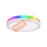 DL24-C01 โคมไฟติดฝ้าเพดานไฟหน้าหลัง LED 28W+6W ปรับสีได้ RGBCW WIFI 110-240V
