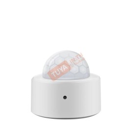 ZPR02  เซ็นเซอร์ตรวจจับความเคลื่อนไหวขนาดเล็ก รอบทิศทาง Zigbee 3 * AAA 1.5V