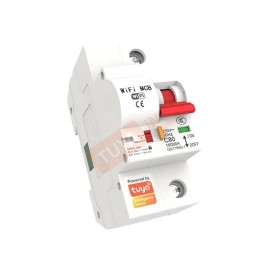 BRK01-32A เซอร์กิตเบรคเกอร์ไฟฟ้า WIFI 1สวิตซ์ 32A 230V