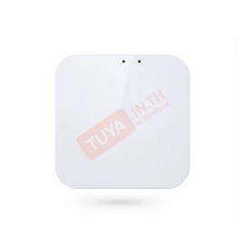 ZBGW01 เกตเวย์ไร้สายสีขาวทรงสี่เหลี่ยม Zigbee + BLE (WiFi) DC5V 124อุปกรณ์
